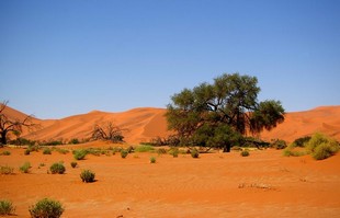 383 Namibia Okt 2006 .JPG